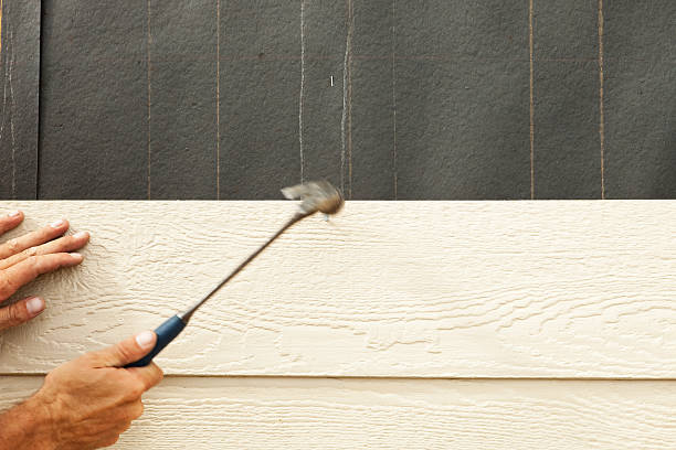 Best Steel Siding Installation  in Gberts, IL